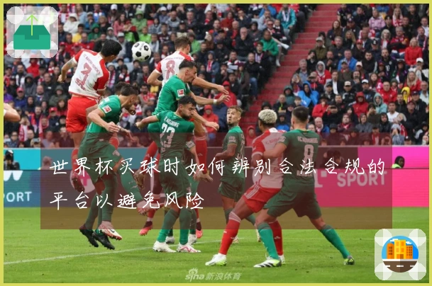 世界杯买球时如何辨别合法合规的平台以避免风险