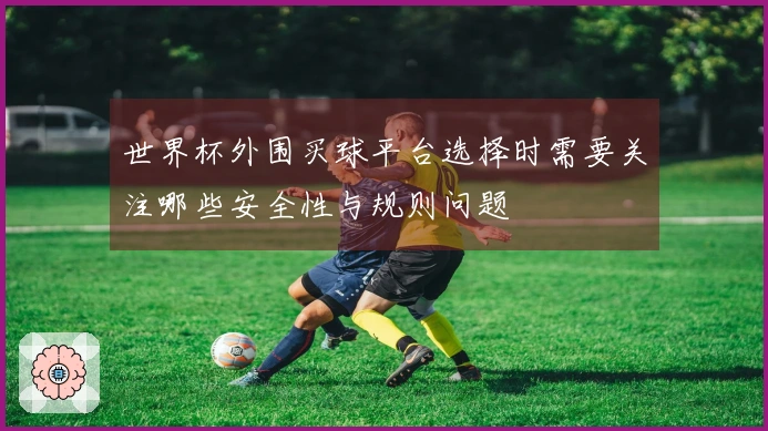 世界杯外围买球平台选择时需要关注哪些安全性与规则问题