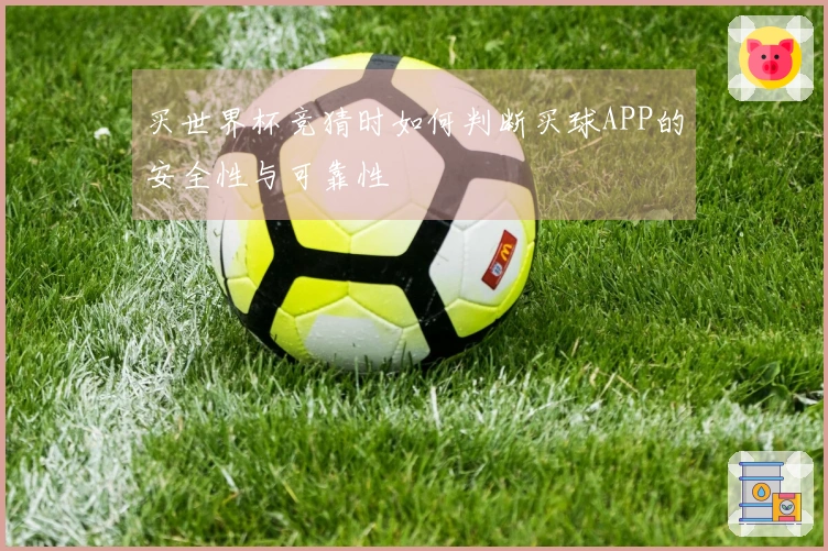 买世界杯竞猜时如何判断买球APP的安全性与可靠性