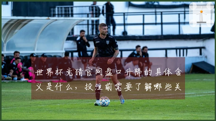 世界杯竞猜官网盘口升降的具体含义是什么，投注前需要了解哪些关键点