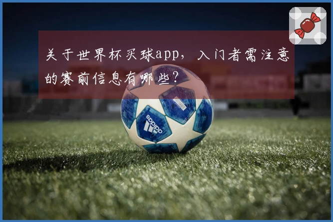 关于世界杯买球app，入门者需注意的赛前信息有哪些？