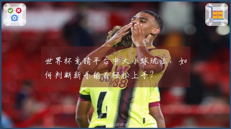 世界杯竞猜平台中大小球玩法，如何判断新手能否轻松上手？