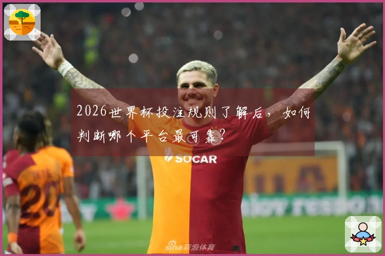 2026世界杯投注规则了解后，如何判断哪个平台最可靠？