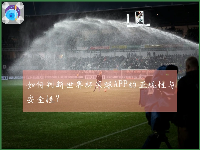 如何判断世界杯买球APP的正规性与安全性？