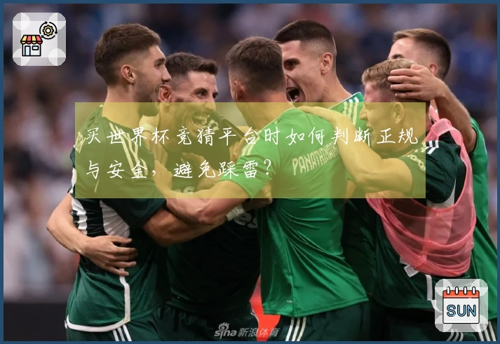 买世界杯竞猜平台时如何判断正规与安全，避免踩雷？