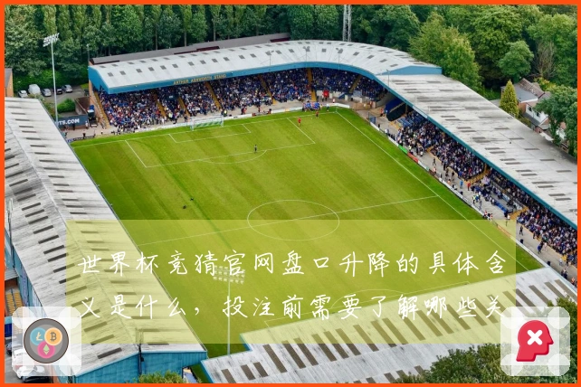 世界杯竞猜官网盘口升降的具体含义是什么，投注前需要了解哪些关键点