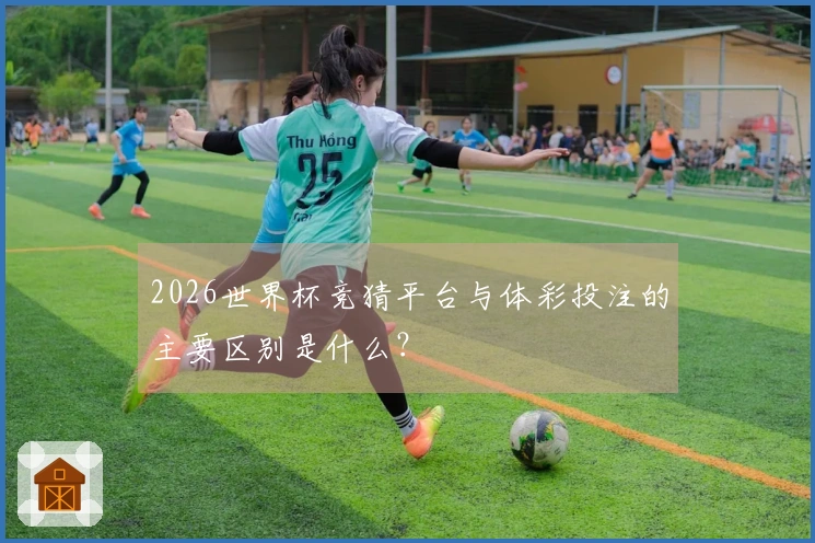 2026世界杯竞猜平台与体彩投注的主要区别是什么？