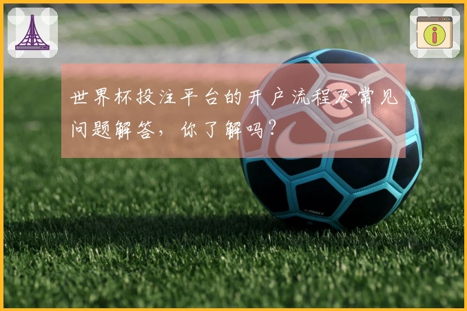 世界杯投注平台的开户流程及常见问题解答，你了解吗？