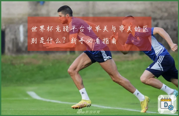 世界杯竞猜平台中单关与串关的区别是什么？新手必看指南
