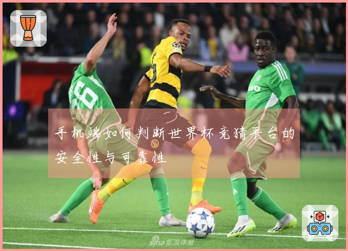 手机端如何判断世界杯竞猜平台的安全性与可靠性