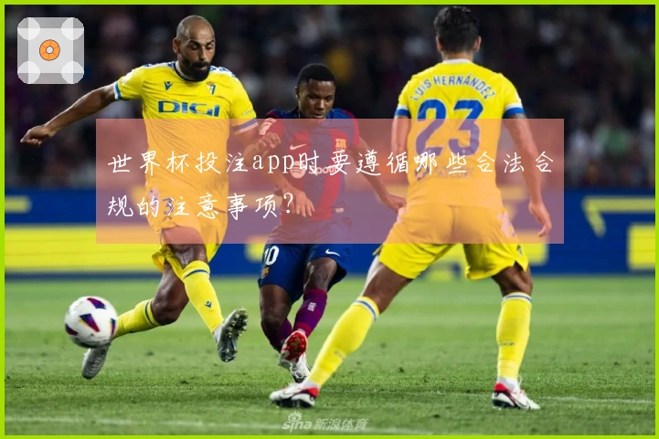 世界杯投注app时要遵循哪些合法合规的注意事项？