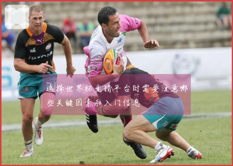 选择世界杯竞猜平台时需要注意哪些关键因素和入门信息