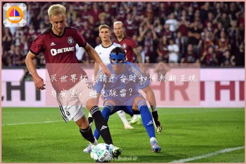 买世界杯竞猜平台时如何判断正规与安全，避免踩雷？