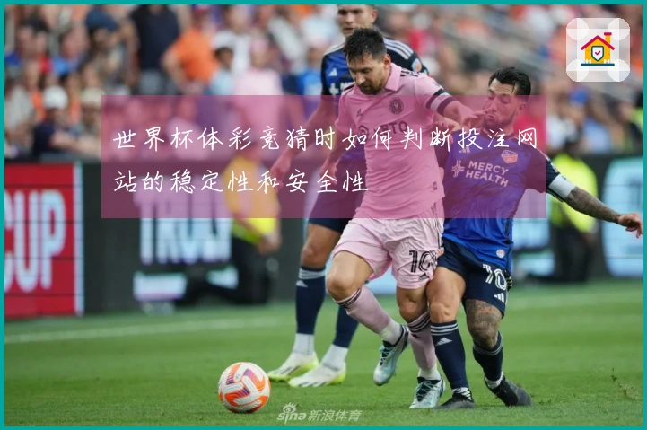 世界杯体彩竞猜时如何判断投注网站的稳定性和安全性