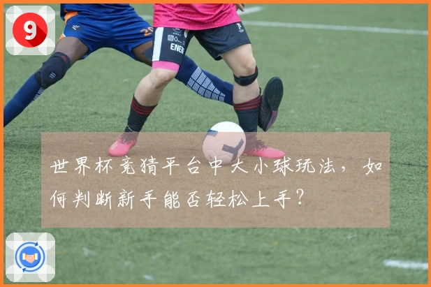 世界杯竞猜平台中大小球玩法，如何判断新手能否轻松上手？