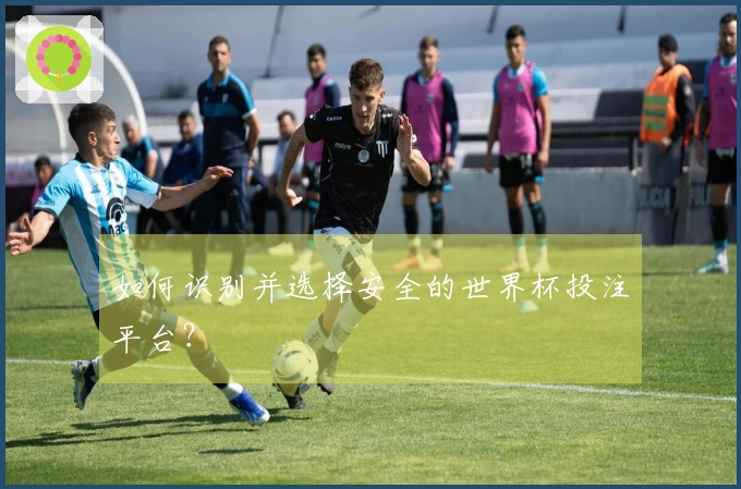 如何识别并选择安全的世界杯投注平台？