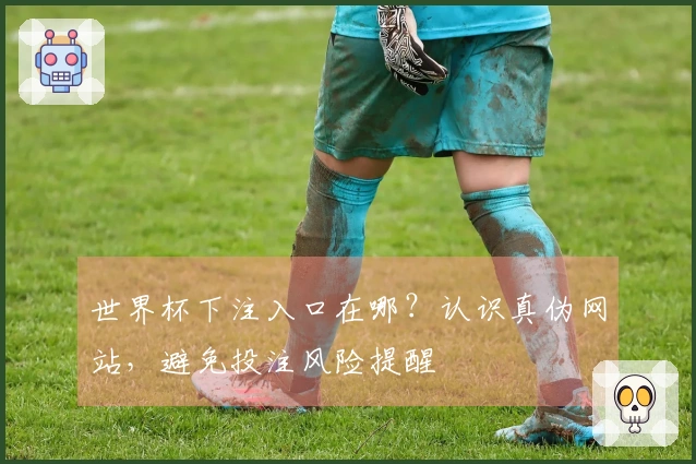 世界杯下注入口在哪？认识真伪网站，避免投注风险提醒