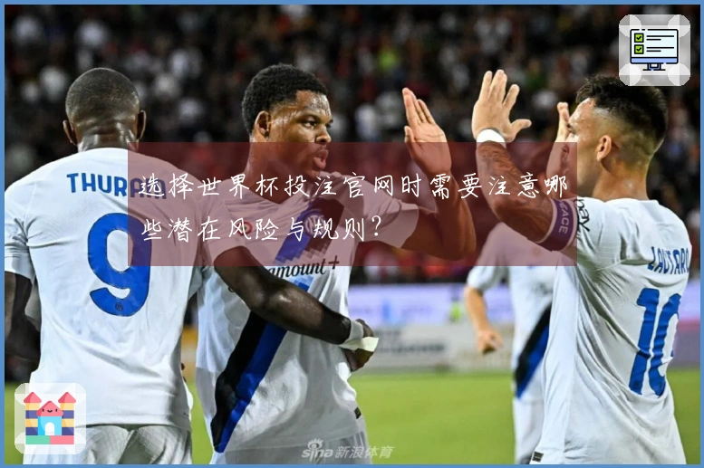 选择世界杯投注官网时需要注意哪些潜在风险与规则？
