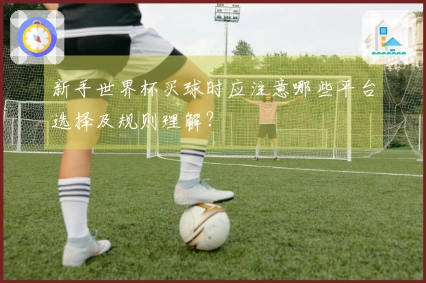 新手世界杯买球时应注意哪些平台选择及规则理解？