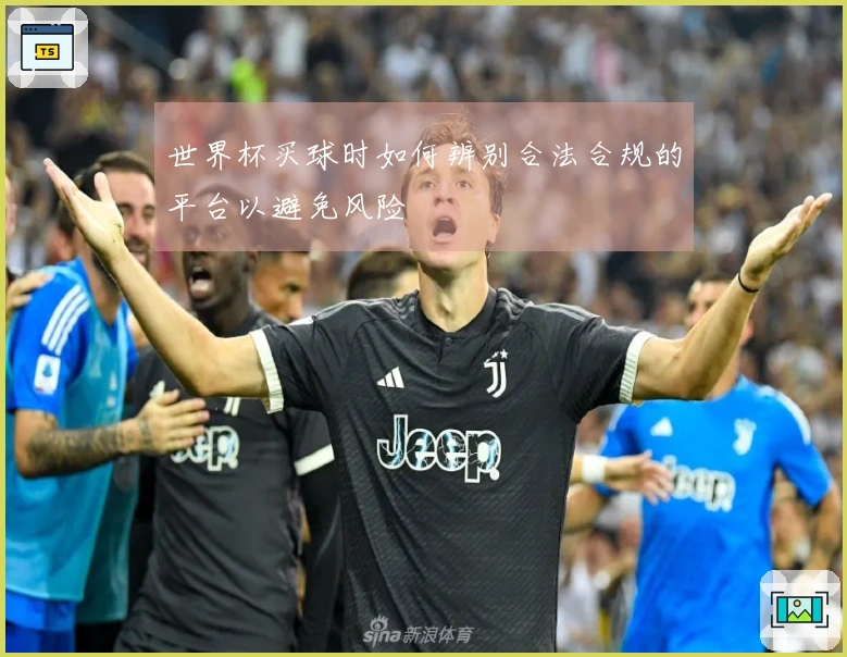 世界杯买球时如何辨别合法合规的平台以避免风险