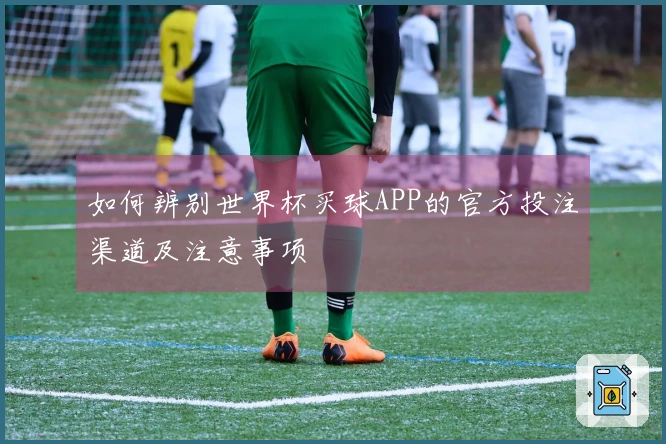 如何辨别世界杯买球APP的官方投注渠道及注意事项