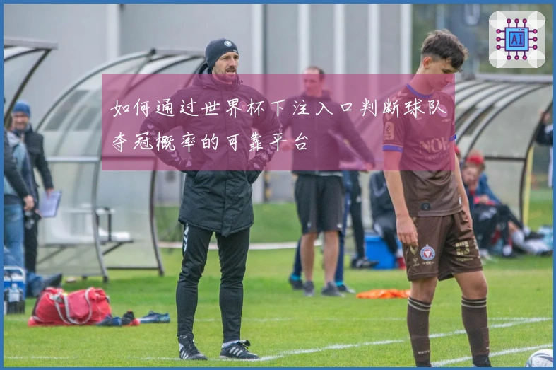 如何通过世界杯下注入口判断球队夺冠概率的可靠平台
