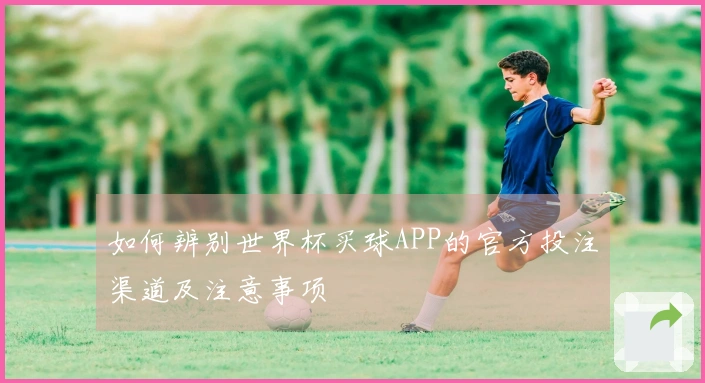 如何辨别世界杯买球APP的官方投注渠道及注意事项