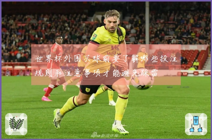 世界杯外围买球前要了解哪些投注规则和注意事项才能避免踩雷