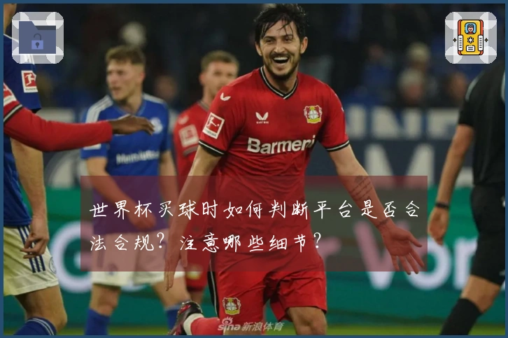 世界杯买球时如何判断平台是否合法合规？注意哪些细节？