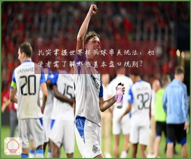 扎实掌握世界杯买球串关玩法，初学者需了解哪些基本盘口规则？